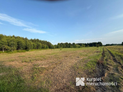 Działka rekreacyjna | WZ | Cienkie