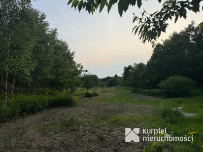 Działka rekreacyjna | WZ | Cienkie