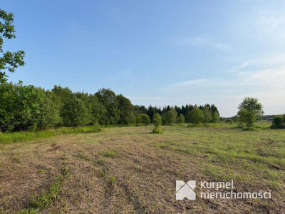 Działka rekreacyjna | WZ | Cienkie