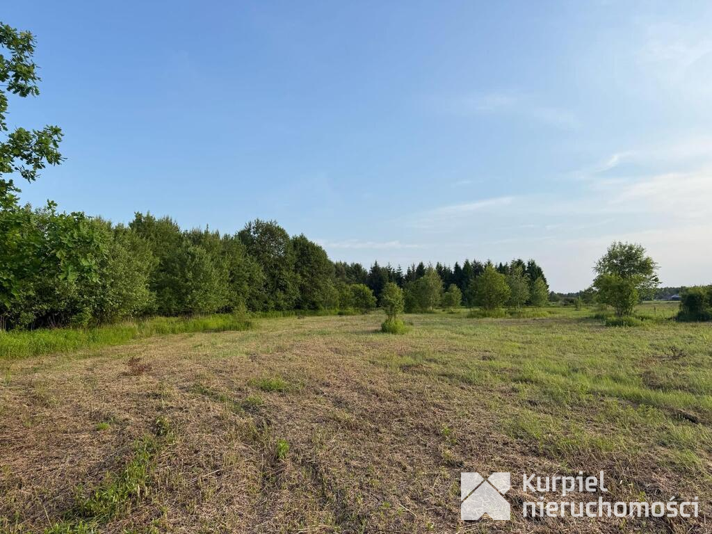 Działka rekreacyjna | WZ | Cienkie