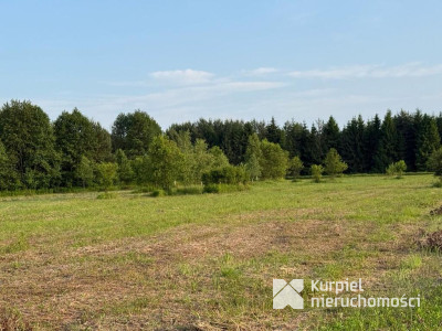 Działka rekreacyjna | WZ | Cienkie
