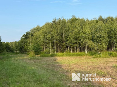 Działka rekreacyjna | WZ | Cienkie