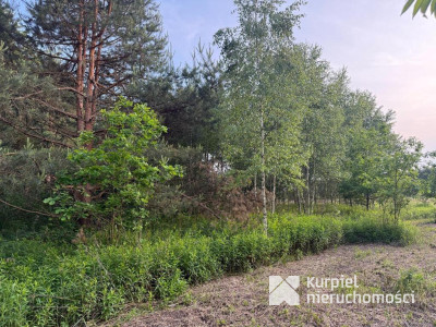 Działka rekreacyjna | WZ | Cienkie