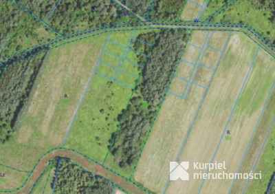 Działka rekreacyjna | WZ | Cienkie