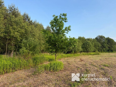 Działka rekreacyjna | WZ | Cienkie