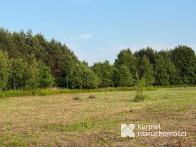 Działka rekreacyjna | WZ | Cienkie