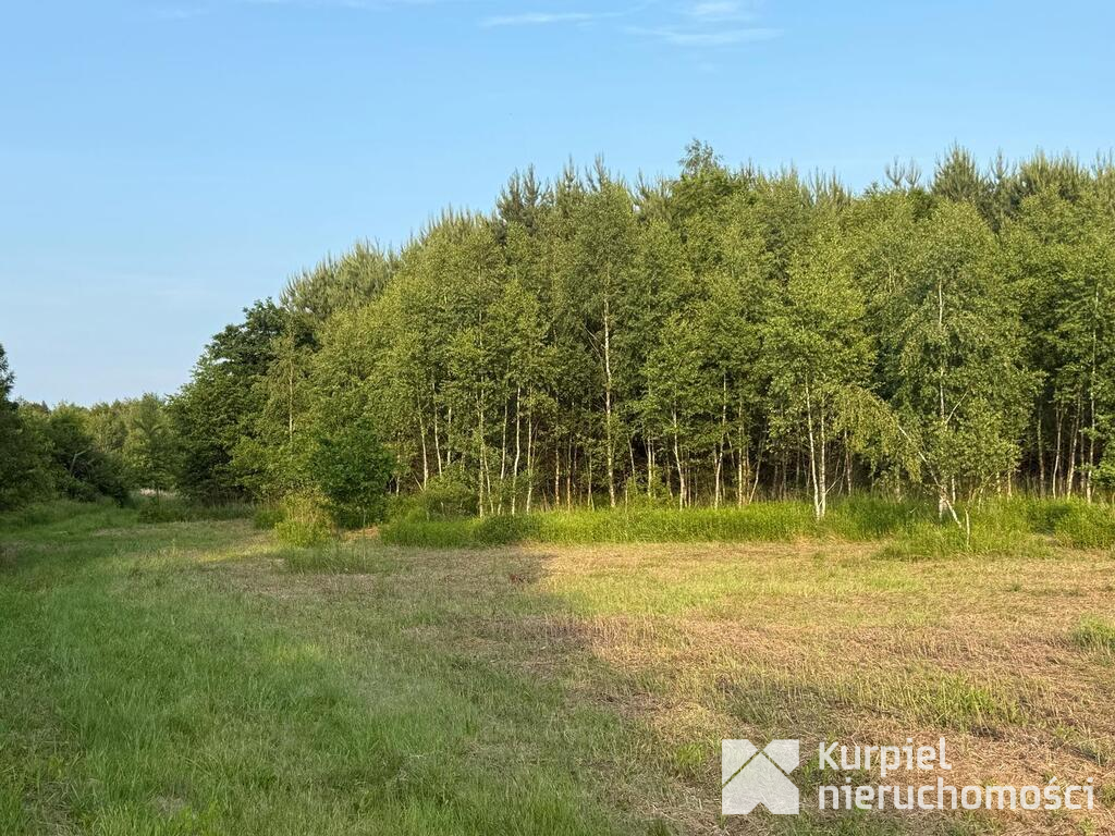 Działka rekreacyjna | WZ | Cienkie