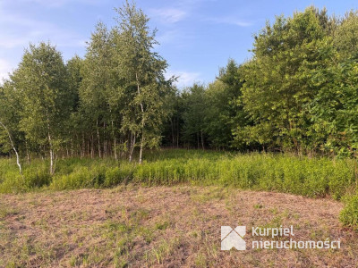 Działka rekreacyjna | WZ | Cienkie