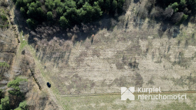 Działka rekreacyjna | WZ | Cienkie