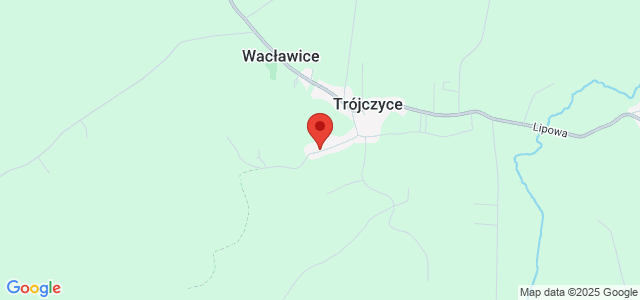 Energooszczędny nowy dom do własnej aranżacji