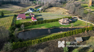 Dom z pełnego bala z zarybionym stawem