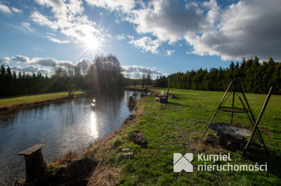 Dom z pełnego bala z zarybionym stawem