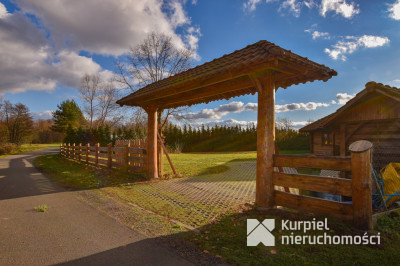 Dom z pełnego bala z zarybionym stawem