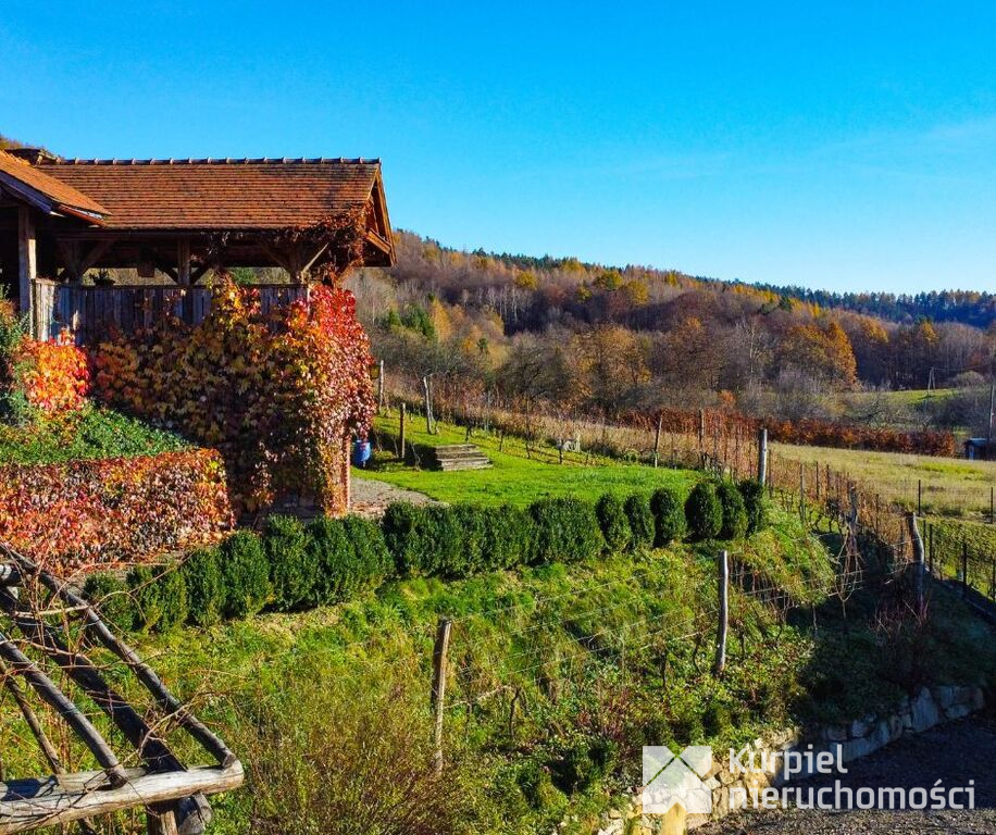 Dom w SSZ + winnica | Pod wynajem lub prywatnie