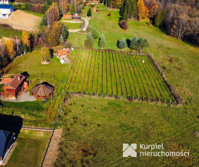 Dom w SSZ + winnica | Pod wynajem lub prywatnie