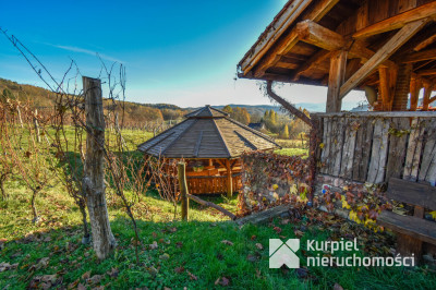 Dom w SSZ + winnica | Pod wynajem lub prywatnie
