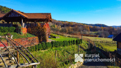 Działka z domem SSZ + winniczka