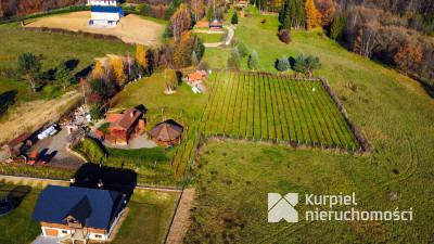 Działka z domem SSZ + winniczka