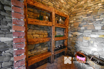 Działka z domem SSZ + winniczka