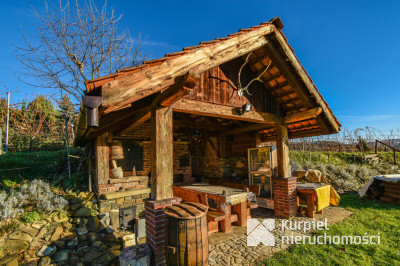 Działka z domem SSZ + winniczka