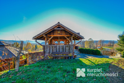 Działka z domem SSZ + winniczka