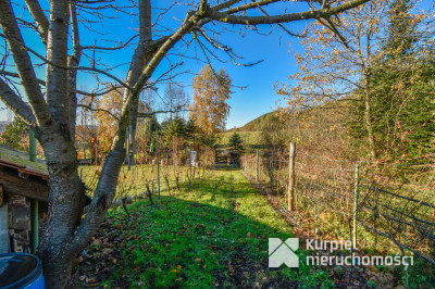 Działka z domem SSZ + winniczka