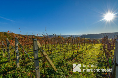 Działka z domem SSZ + winniczka