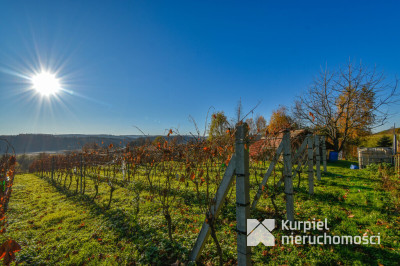 Działka z domem SSZ + winniczka