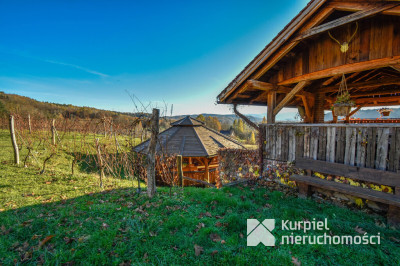 Działka z domem SSZ + winniczka