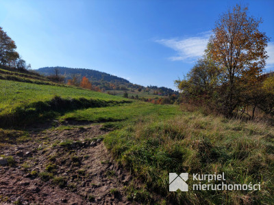 Działka budowlana w pięknej okolicy z dodatkami