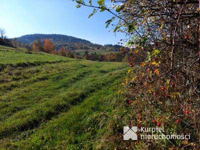 Działka budowlana w pięknej okolicy z dodatkami