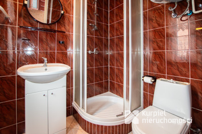 Przestronny dom typu kostka z garażem i tarasem