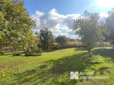 Dom z przestrzenią i klimatem /Trójczyce/