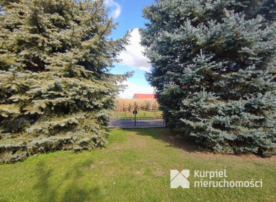 Dom z przestrzenią i klimatem /Trójczyce/