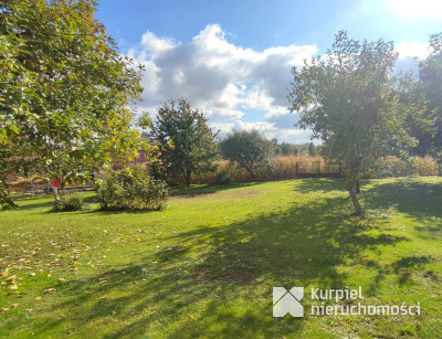 Dom z przestrzenią i klimatem /Trójczyce/