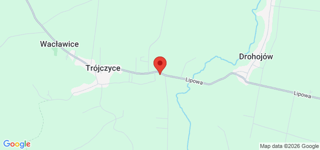 Dom z przestrzenią i klimatem /Trójczyce/