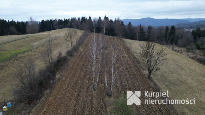 Widokowa działka siedliskowa w Wołkowyji