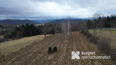 Widokowa działka siedliskowa w Wołkowyji