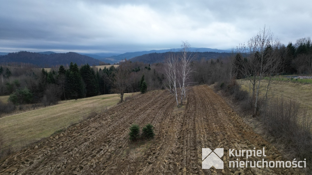 Widokowa działka siedliskowa w Wołkowyji