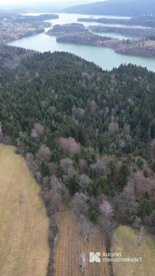 Widokowa działka siedliskowa w Wołkowyji