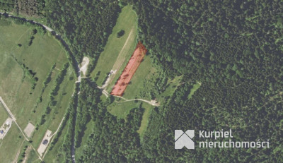 Widokowa działka siedliskowa w Wołkowyji