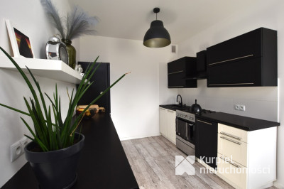 Komfortowy dom z tarasem i ogrodem