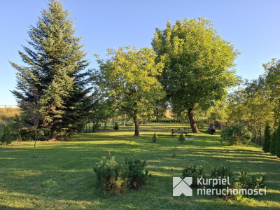 Komfortowy dom z tarasem i ogrodem