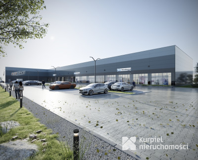 Wynajem powierzchni magazynowej - system paletowy