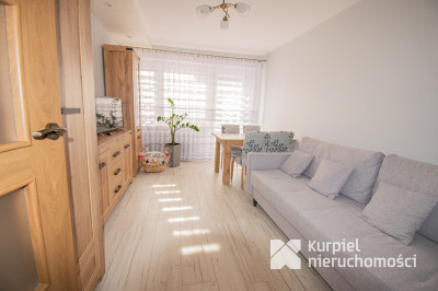 3 pokojowe mieszkanie po generalnym remoncie