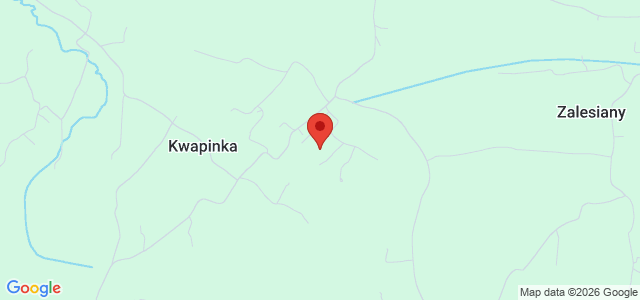 Drewniana chata z działką i zabudowaniami