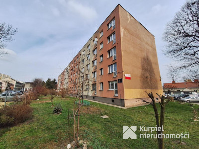 Mieszkanie 2 pokojowe ul. 3 Maja/blok