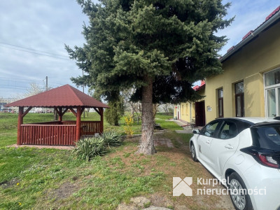 Mieszkanie z ogródkiem do wynajęcia