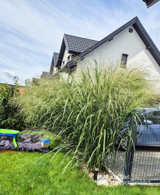 Dom bliźniak dla Twojej Rodziny!