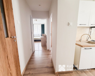 Dwupokojowe mieszkanie wolne od zaraz